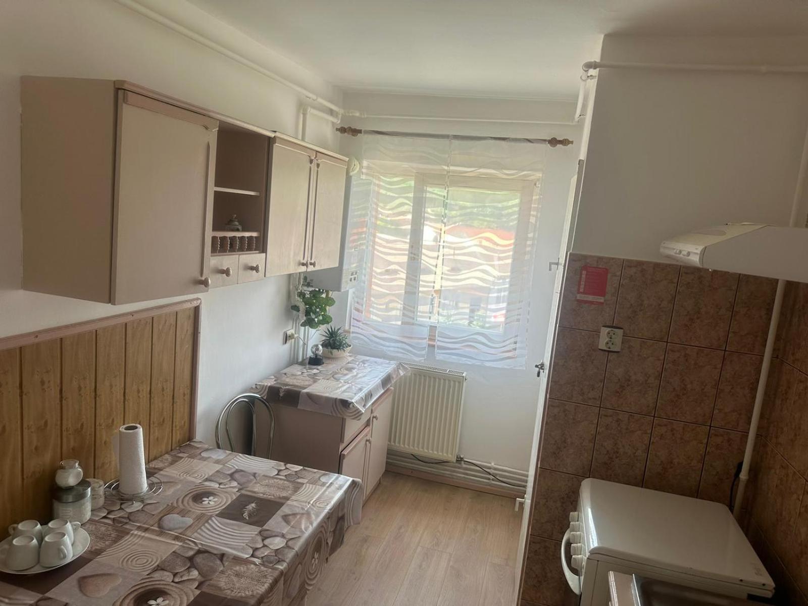 Apartmán Apartament La Ilie Ocna Sibiului Exteriér fotografie