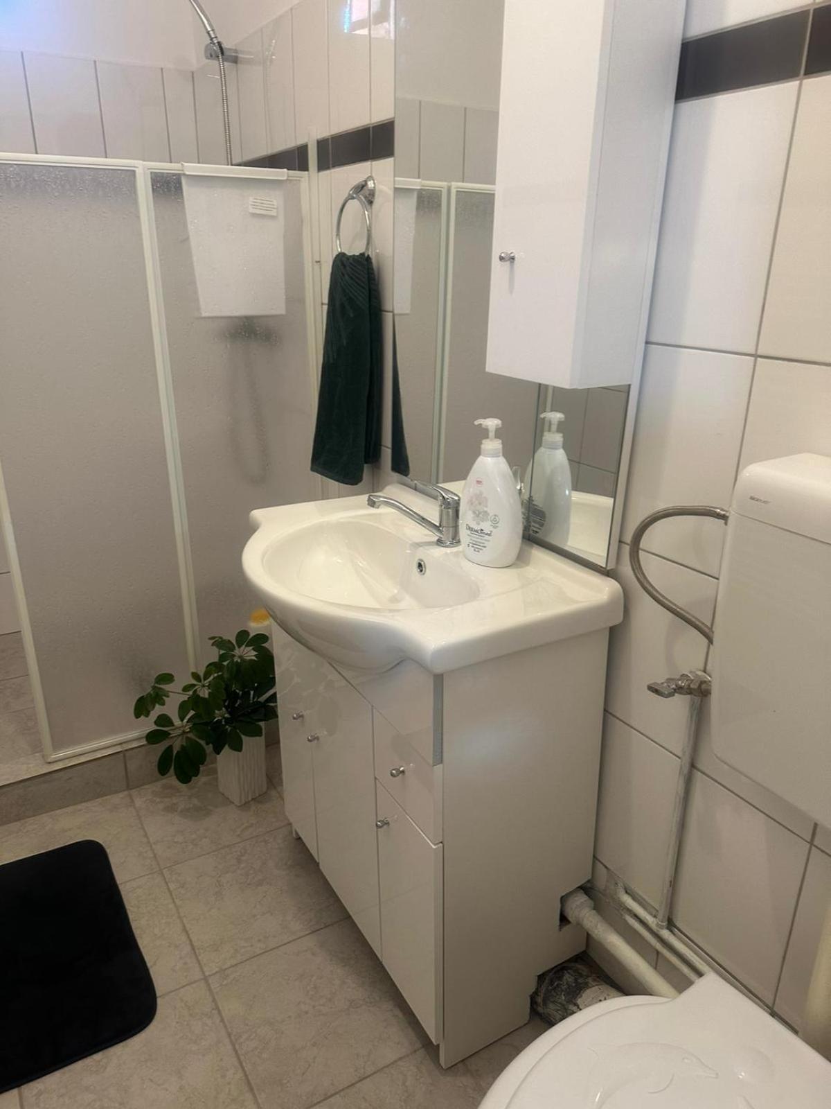 Apartmán Apartament La Ilie Ocna Sibiului Exteriér fotografie