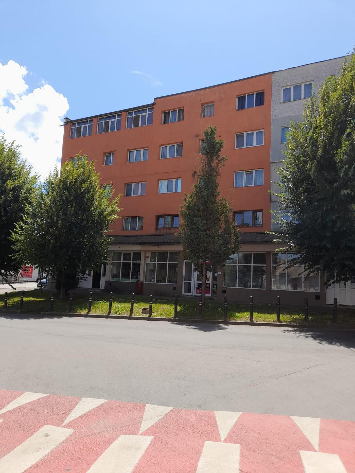 Apartmán Apartament La Ilie Ocna Sibiului Exteriér fotografie