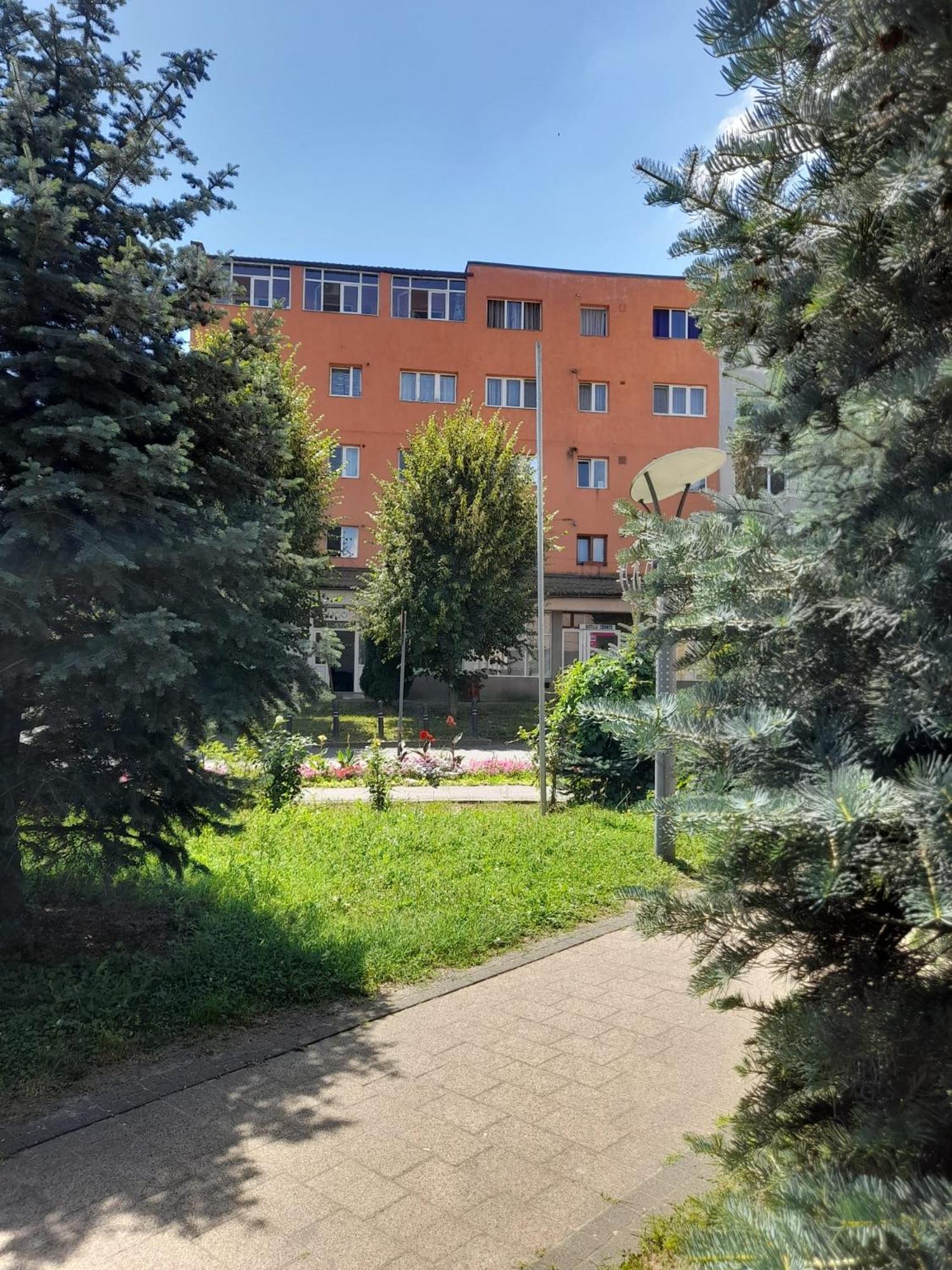 Apartmán Apartament La Ilie Ocna Sibiului Exteriér fotografie